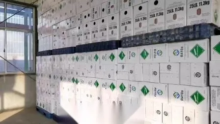 R438A R600A R32 R404A R507 R407c R290 R22 R134A R410A R227ea FM200 Gás refrigerante AC